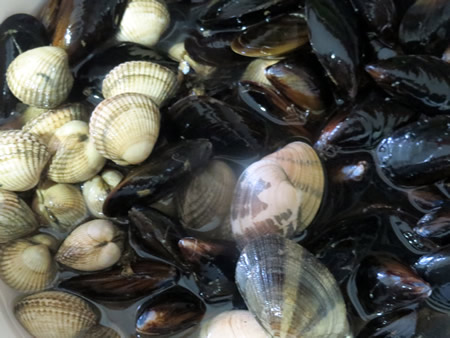 Mejillones, berberechos y almejas