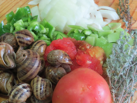 Verduras y caracoles