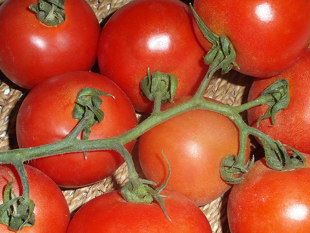 Tomates en rama