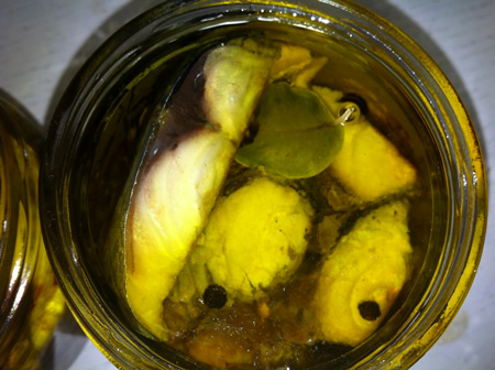 Conserva casera de caballa en aceite de oliva 